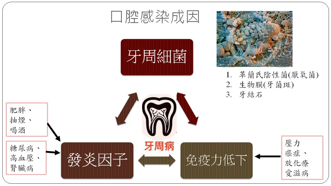 圖1 口腔黏膜炎的致病要素