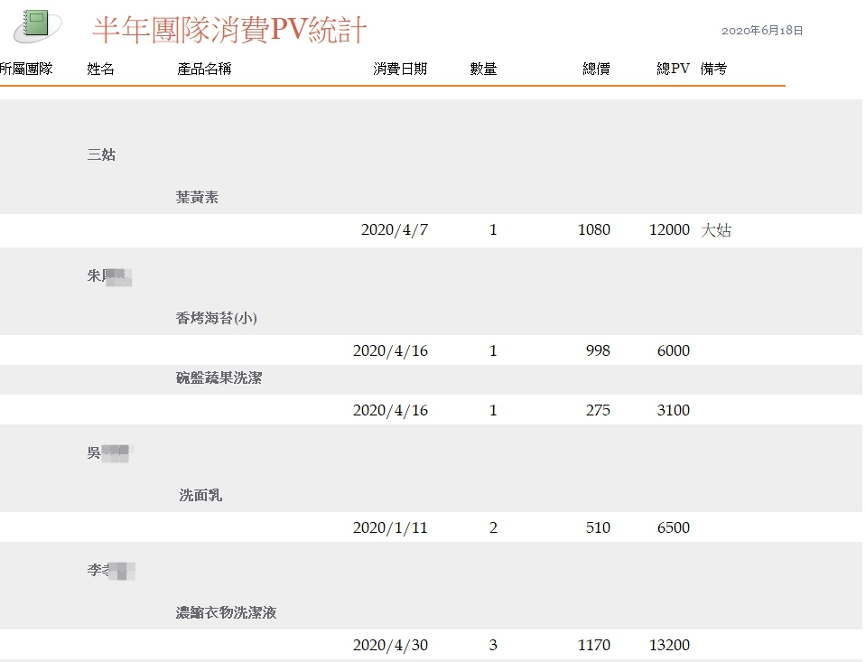 半年團隊消費報表