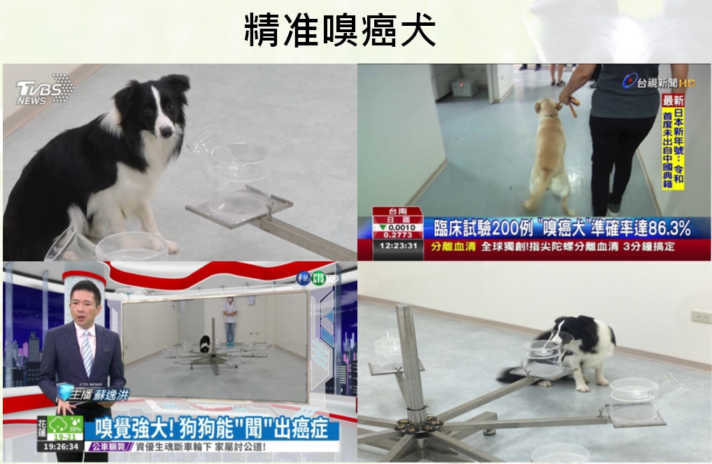 嗅癌犬