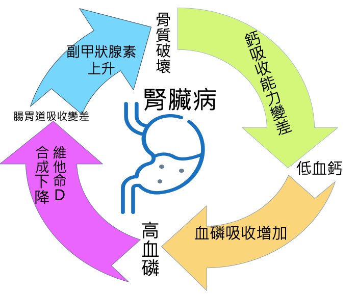 腎臟病引起低磷高鈣說明