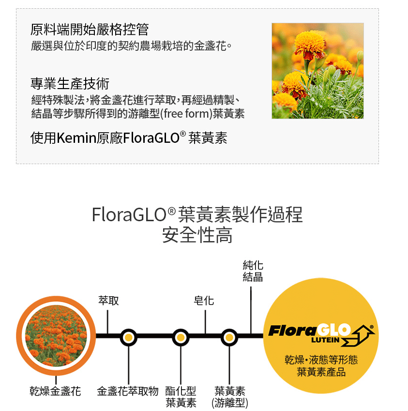 floraGLO 葉黃素